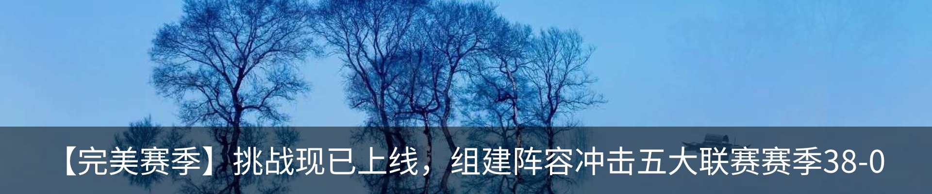 最新动态