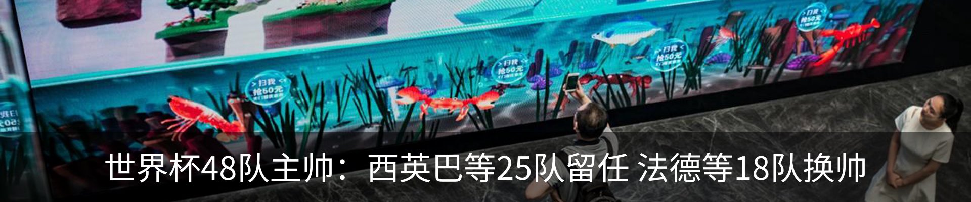 最新动态