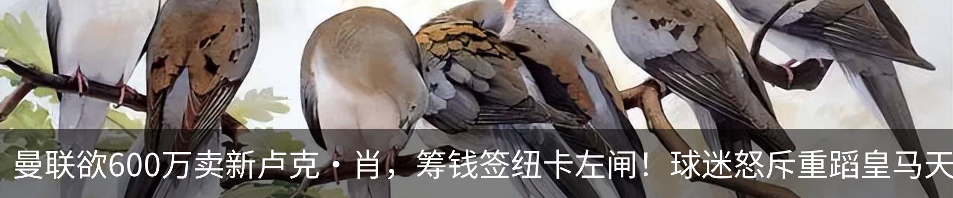 最新动态