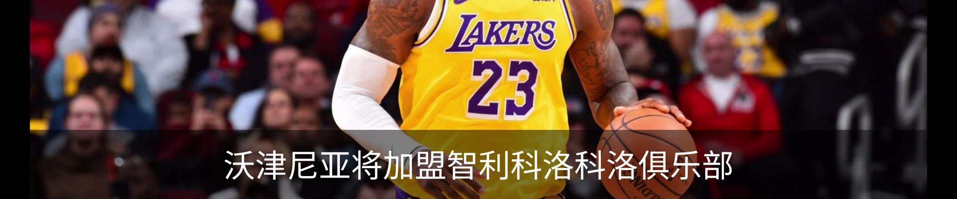 最新动态