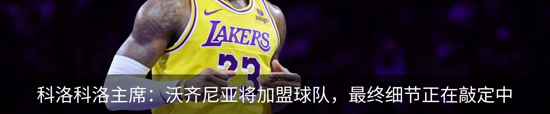 最新动态