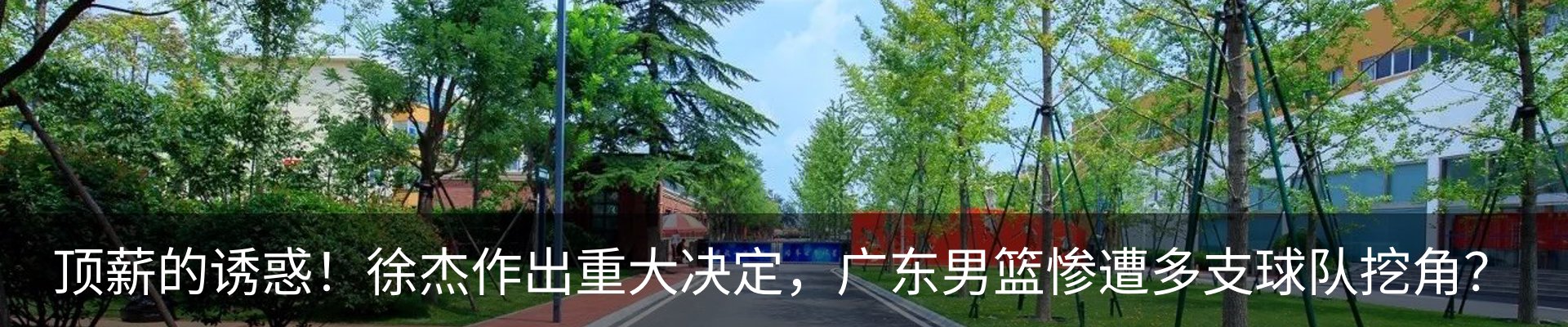 最新动态